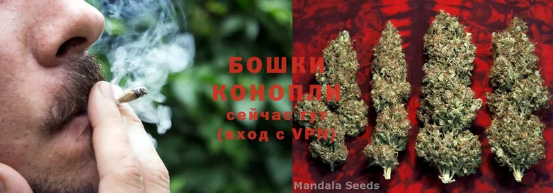 где можно купить   Донской  Бошки Шишки SATIVA & INDICA 